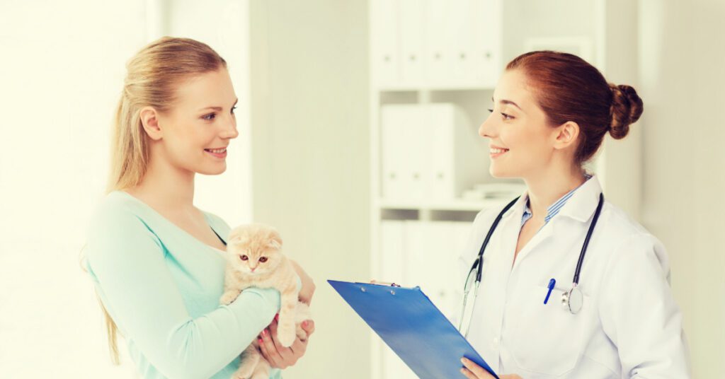 female cat owner holding kitten as she talks with female vet