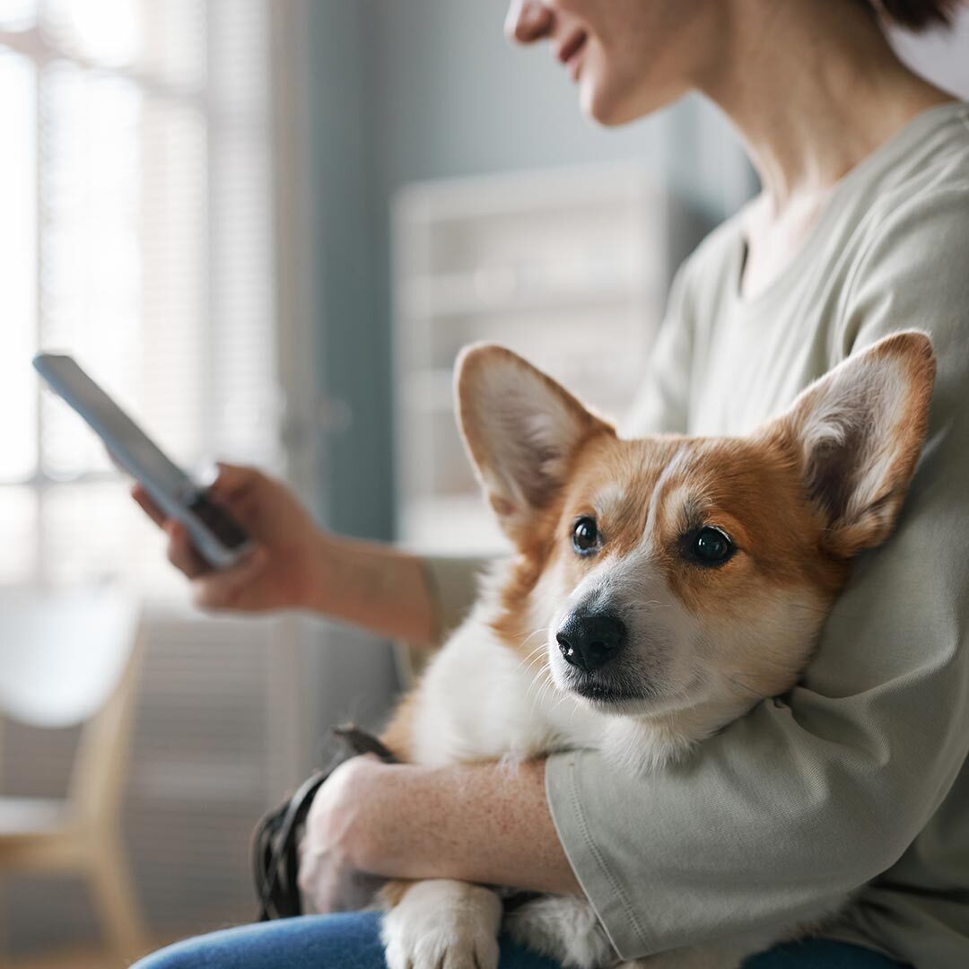 Contact Us At Totalcare Veterinary And Surgical Center