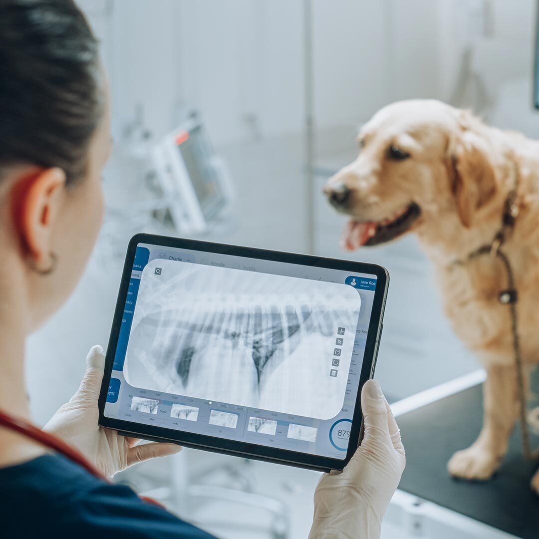 Doctor Looking At X Rays On Tablet