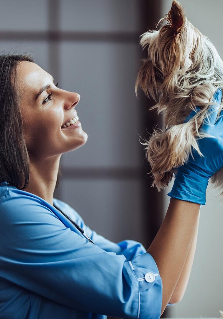 Doctor Smiling And Holding Yorkie In The Air