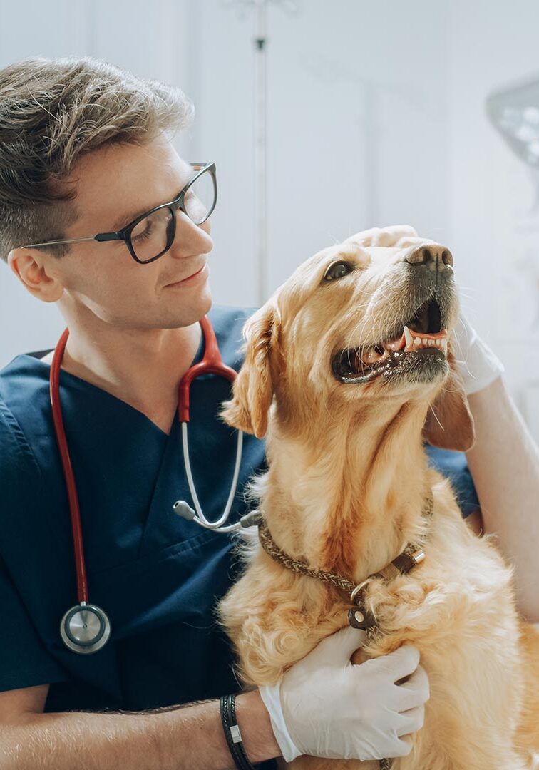 Doctor Smiling And Petting Golden Retriever