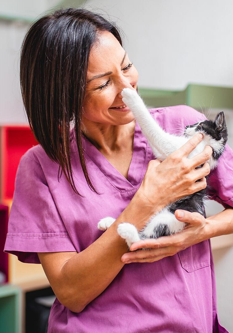 Kitten Playing With Staff Members Nose