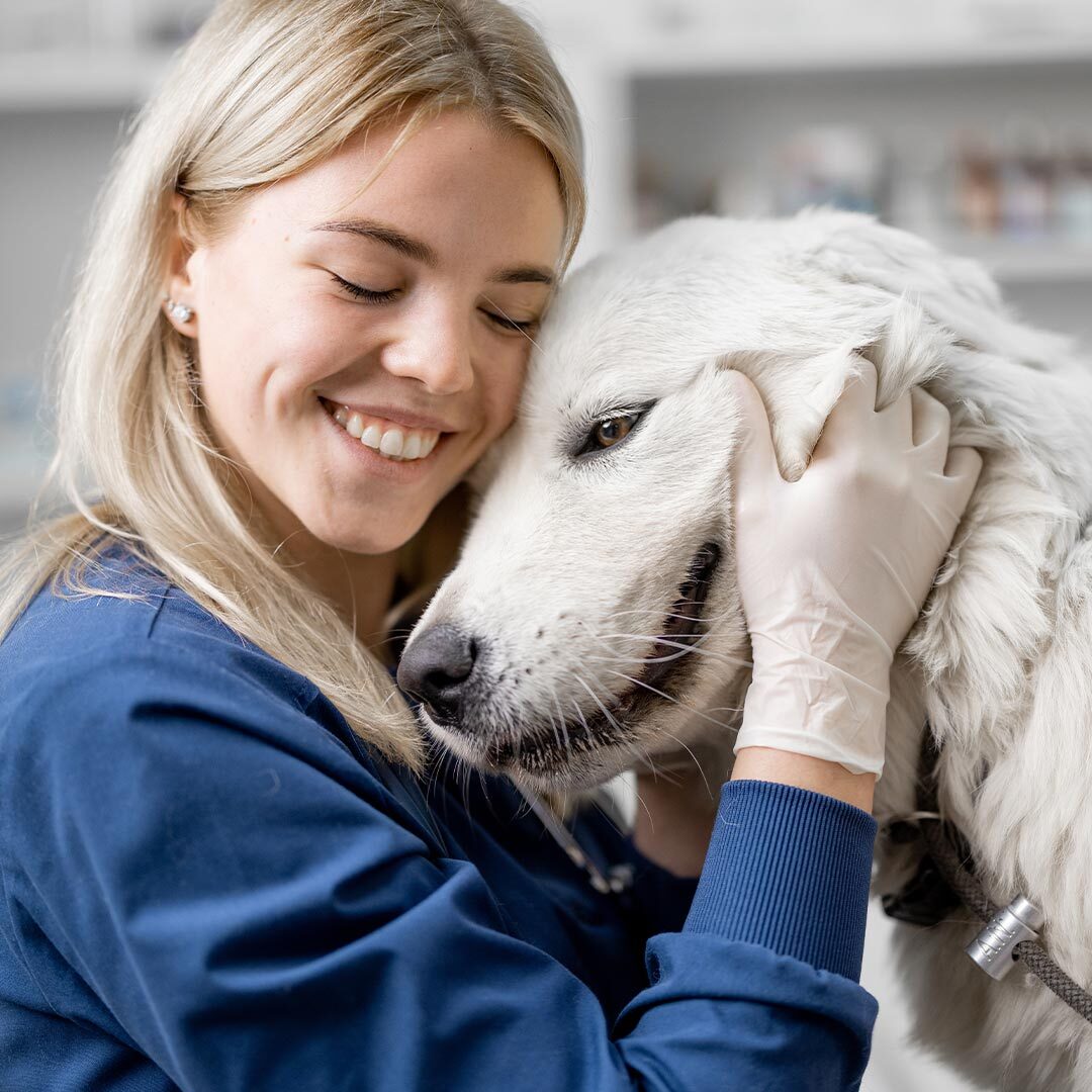 Veterinary Careers In San Francisco Ca